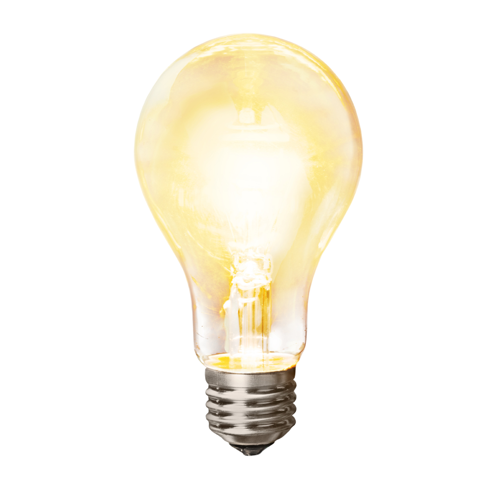 Light Bulb